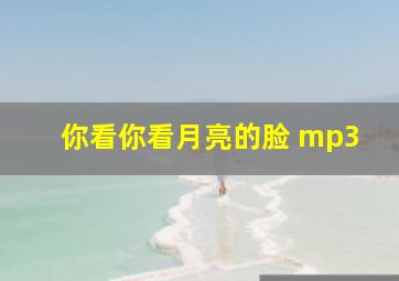 你看你看月亮的脸 mp3